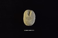 石鎚藏品圖，第1張